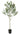 Artificial UV Olive Tree 1.8m