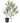 Artificial UV Olive Tree 1.8m