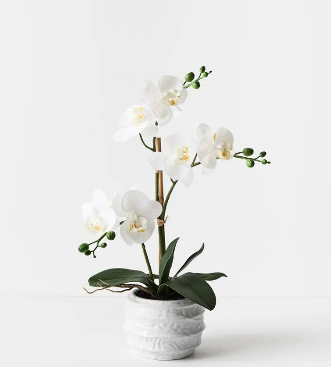 Orchid set - real touch