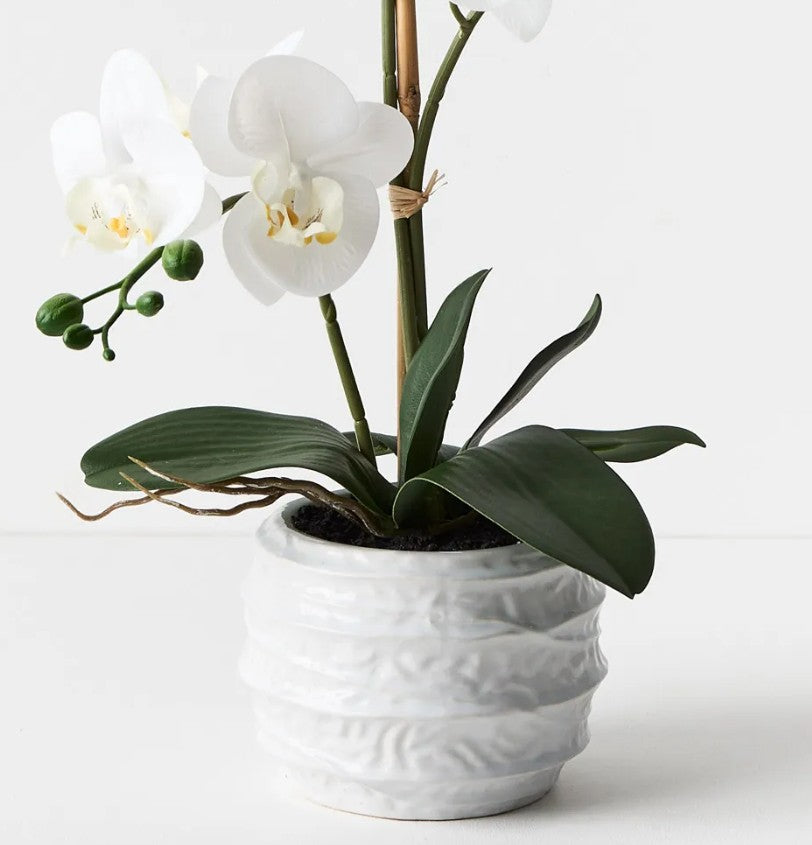 Orchid set - real touch