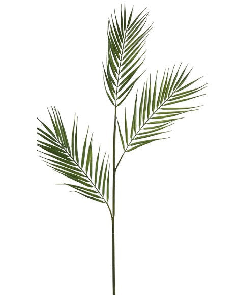 Palm Stem Green