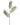 Palm Stem Green