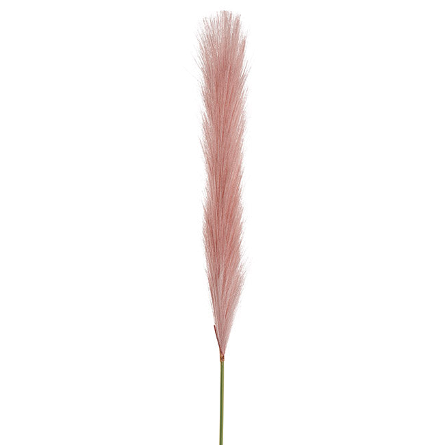 Single Stem Pampas Spray Dusty Pink 70cm