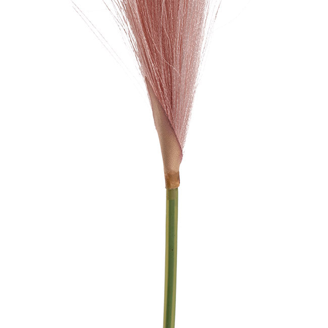 Single Stem Pampas Spray Dusty Pink 70cm