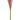 Single Stem Pampas Spray Dusty Pink 70cm