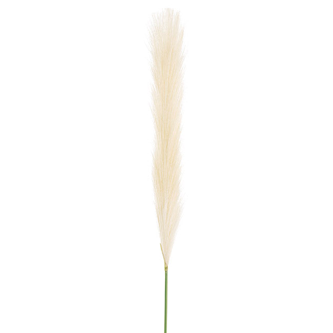 Single Stem Pampas Spray Off White 70cm