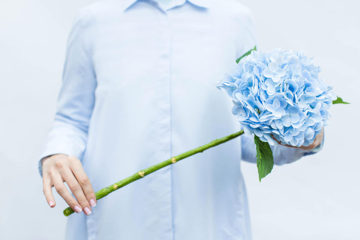 Hydrangea - Light Blue - real touch
