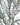 Artificial Branch - dusty light blue