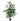 Artificial Ficus Benjamina Naomi 120cm - green