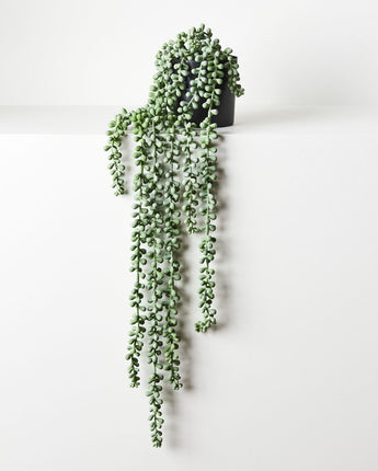 String Of Pearls In Pot - Grey