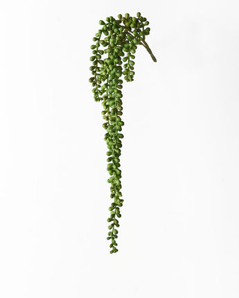 String of pearls - Green